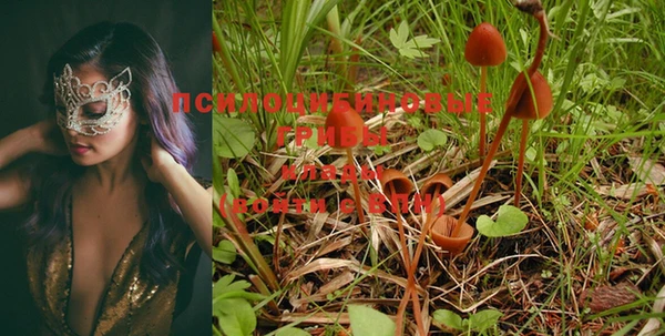 герыч Мегион