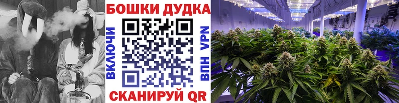 Конопля THC 21%  Купить закладки  Монино 